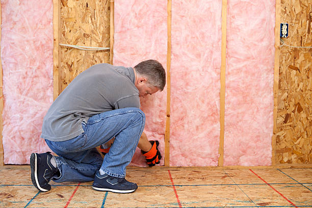 Eco-Friendly Insulation Solutions in Adamstown, MD